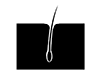 Hair Root | Permanent-Pictogram | Free Illustration Material